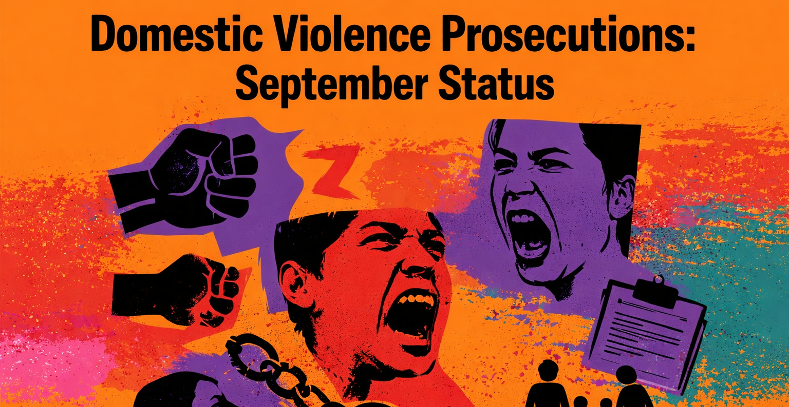 Domestic Violence Prosecutions: September Status